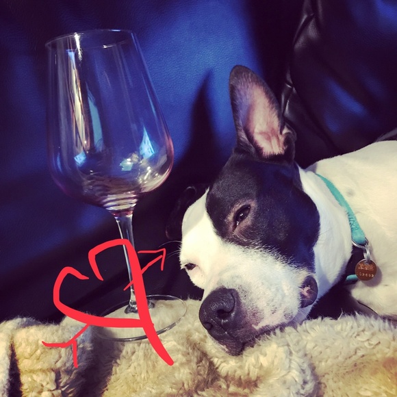 Meet your Posher, Jen - Picture 6 of 6